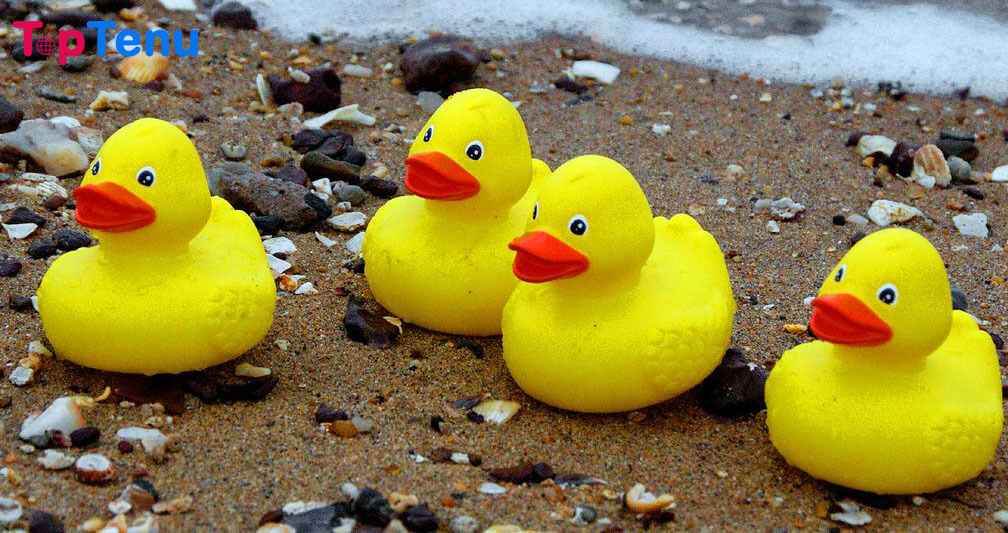 Rubber Ducks 12 Most Bizarre Shoreline Beach Finds
