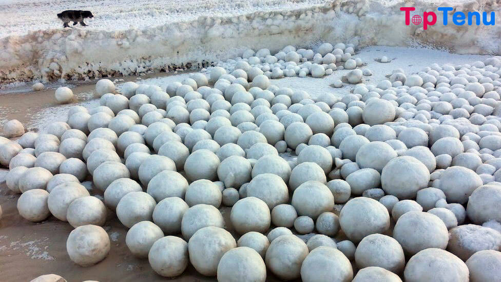 Thousands of Snowballs