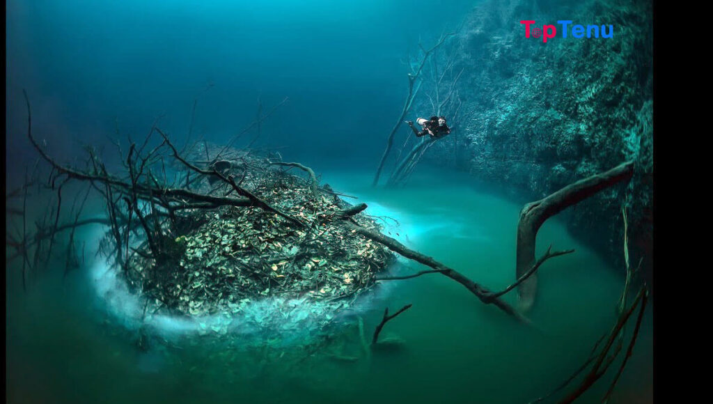 Top 9 Spectacular Underwater Rivers and Lakes