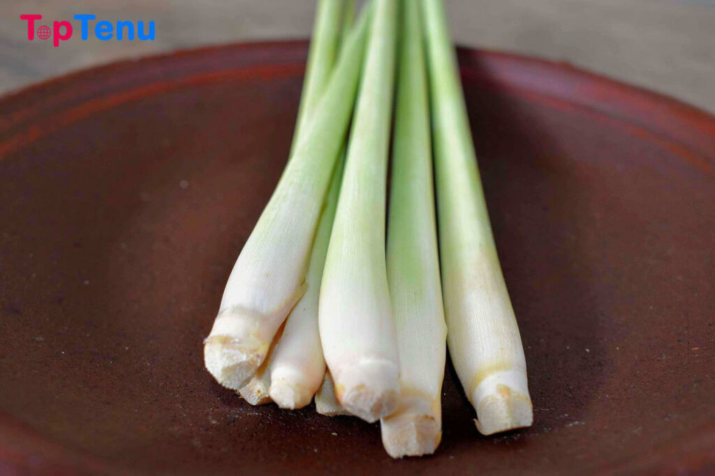 Top 23 Amazing Benefits of Lemongrass &#8211; Uses, Side Effects
