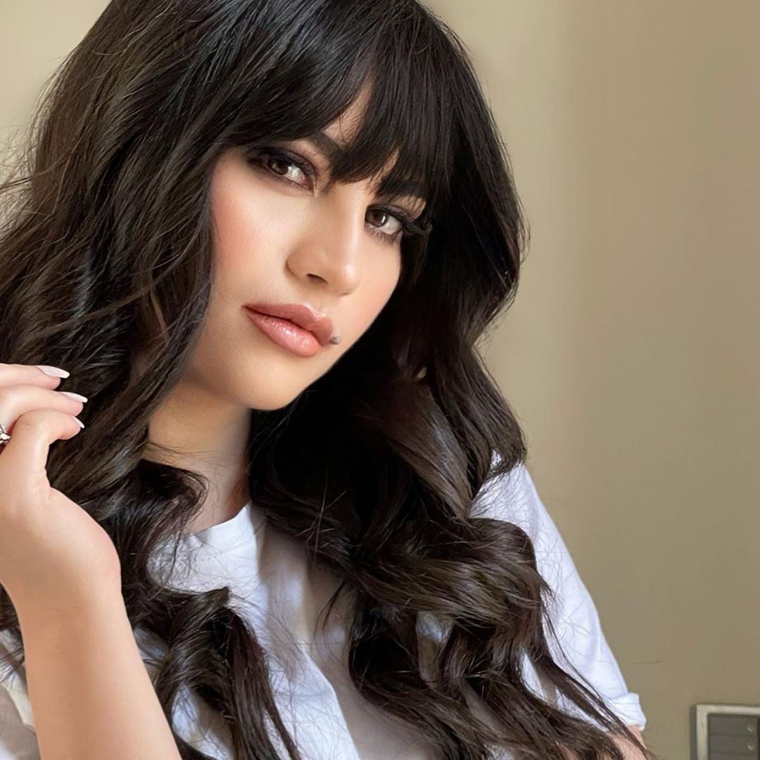, Neelam Muneer Biography, Age, Family, Images, Net Worth